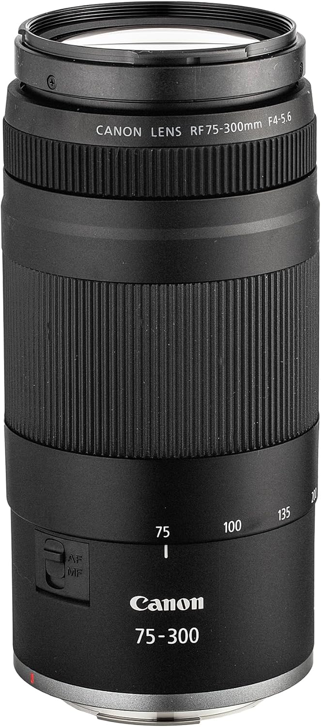 Appareil photo hybride Canon EOS RP | Capteur plein format 26,2 Mpx | Enregistrement vidéo 4K | Appareil photo compact et léger adapté aux déplacements et la création de contenu au quotidien + Objectif Canon RF 75-300 mm + Adaptateur EF-EOS R + Ac…
