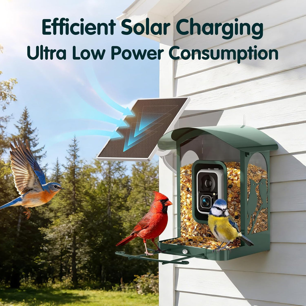 Mangeoire à oiseaux doté de caméra 4K Ultra HD, vidéo en direct à 30 images/seconde, ralenti x10, sans abonnement, alimentée à l'énergie solaire, Wi-Fi 2,4 GHz/5 GHz, en métal résistant. Cadeau idéal pour les amoureux des oiseaux.