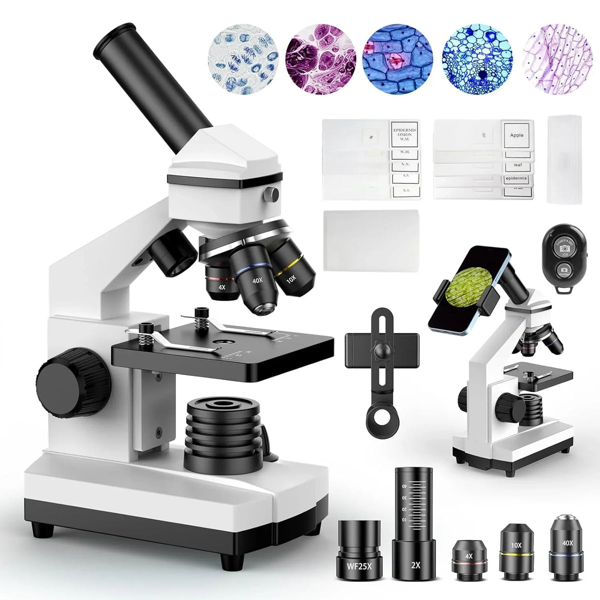 Microscope composé pour toute la famille - Microscope biologique haute puissance 100X-2000X pour étudiants, laboratoires scolaires et enseignement à domicile, avec jeu de lames et adaptateur pour téléphone (blanc)