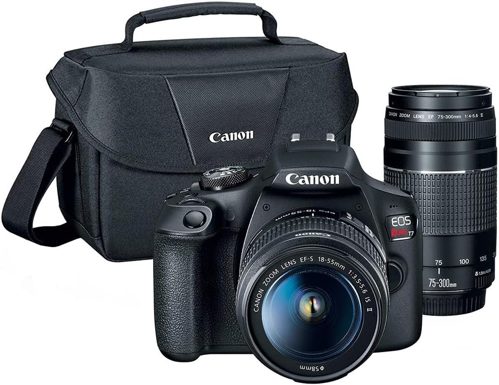Reflex numérique Canon EOS Rebel T7 doté de kit double zoom EF 18-55 mm + EF 75-300 mm (réf. 2727C021), carte de stockage SDXC Lexar Premium 64 Go, sac photo Deco Essentials et suite logicielle Corel Photo Video.