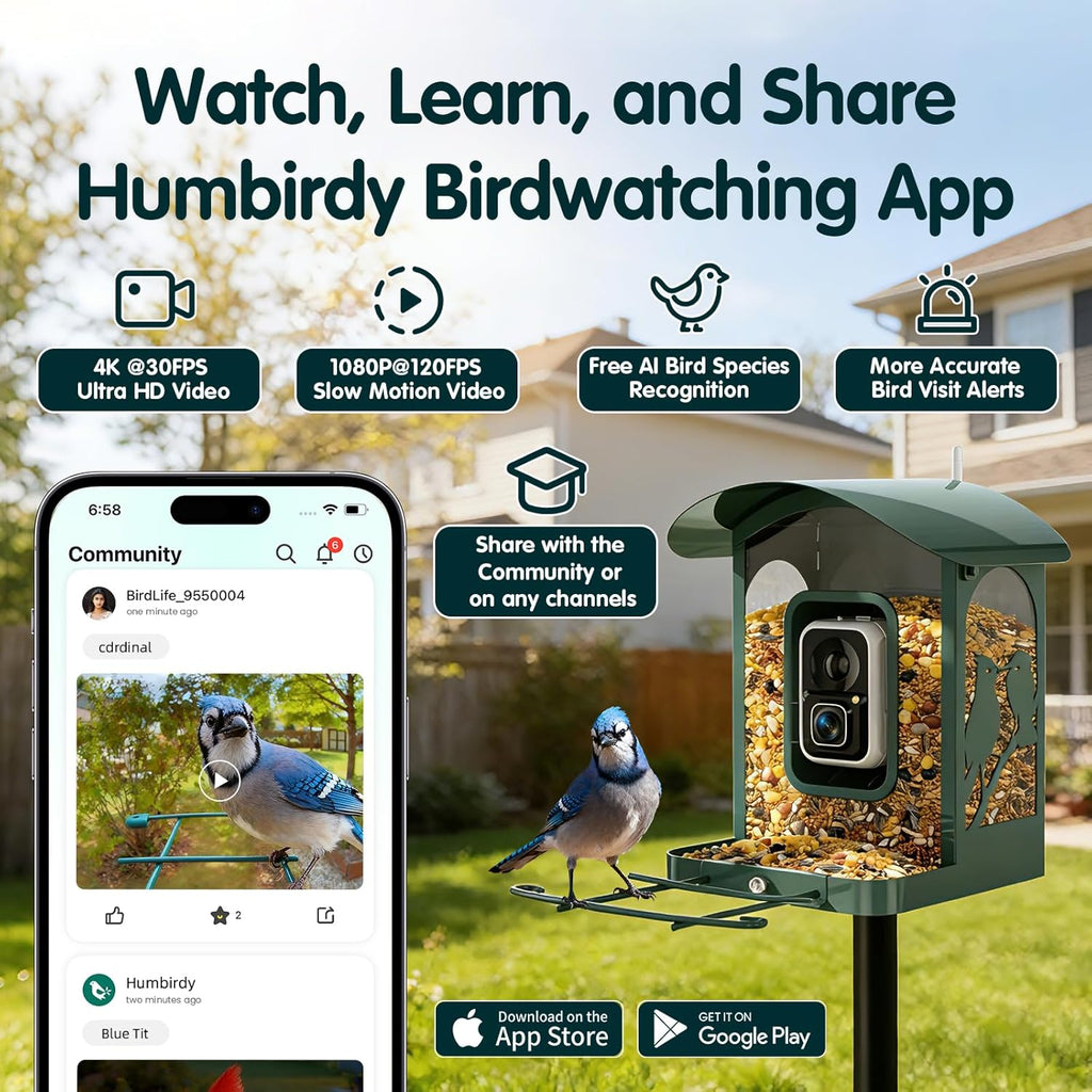 Mangeoire à oiseaux doté de caméra 4K Ultra HD, vidéo en direct à 30 images/seconde, ralenti x10, sans abonnement, alimentée à l'énergie solaire, Wi-Fi 2,4 GHz/5 GHz, en métal résistant. Cadeau idéal pour les amoureux des oiseaux.