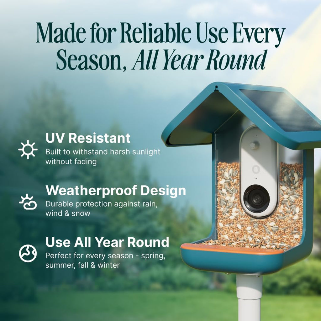 Mangeoire solaire intelligente Birdbuddy PRO avec caméra - Identification des espèces d'oiseaux par IA, photos 5 MP, vidéo HD 2K, streaming en direct, ralenti, mise au point 6,6 cm (2,6 pouces) - Bleue