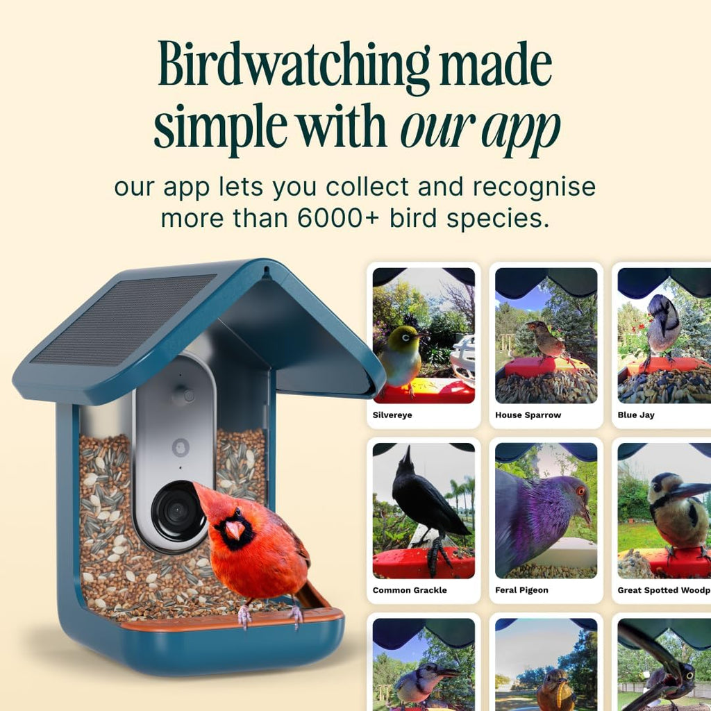 Mangeoire solaire intelligente Birdbuddy PRO avec caméra - Identification des espèces d'oiseaux par IA, photos 5 MP, vidéo HD 2K, streaming en direct, ralenti, mise au point 6,6 cm (2,6 pouces) - Bleue