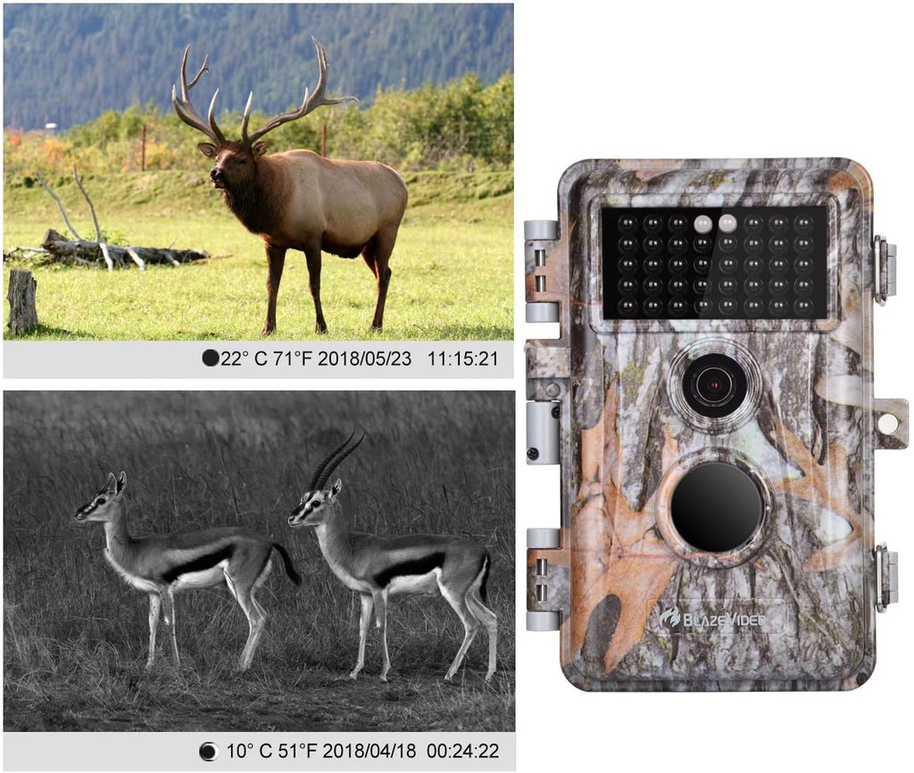 Lot de 5 caméras de chasse (cerfs et gibier) 16 MP, vidéo 1920 x 1080p, mode accéléré avec vision nocturne – Présentation