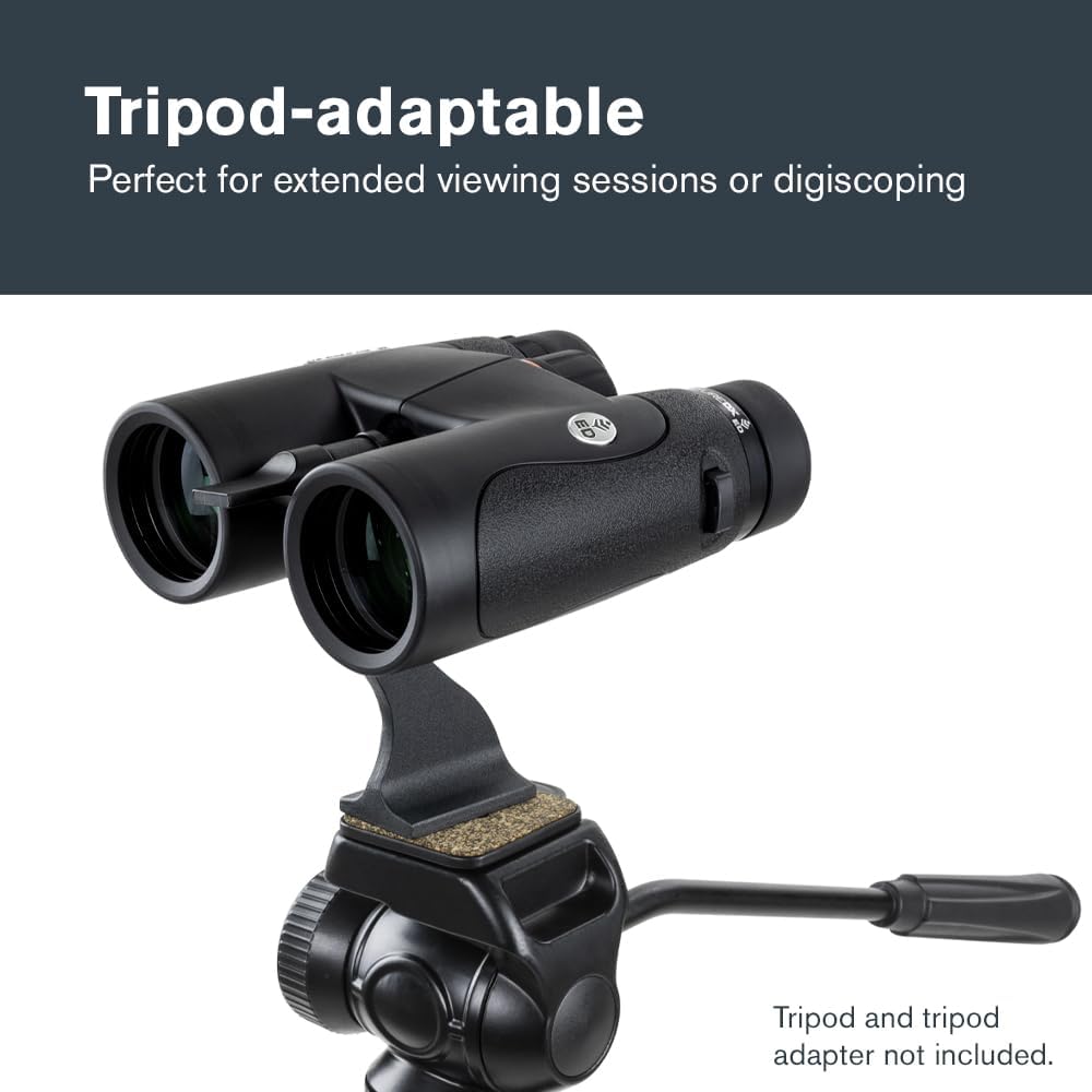 Jumelles Celestron–Nature DX ED 10x42 Premium – Objectifs à très faible dispersion – Jumelles pour l'extérieur et l'observation des oiseaux – Traitement multicouche intégral avec prismes BaK-4 – Revêtement en caoutchouc – Jumelles antibuée et rési…