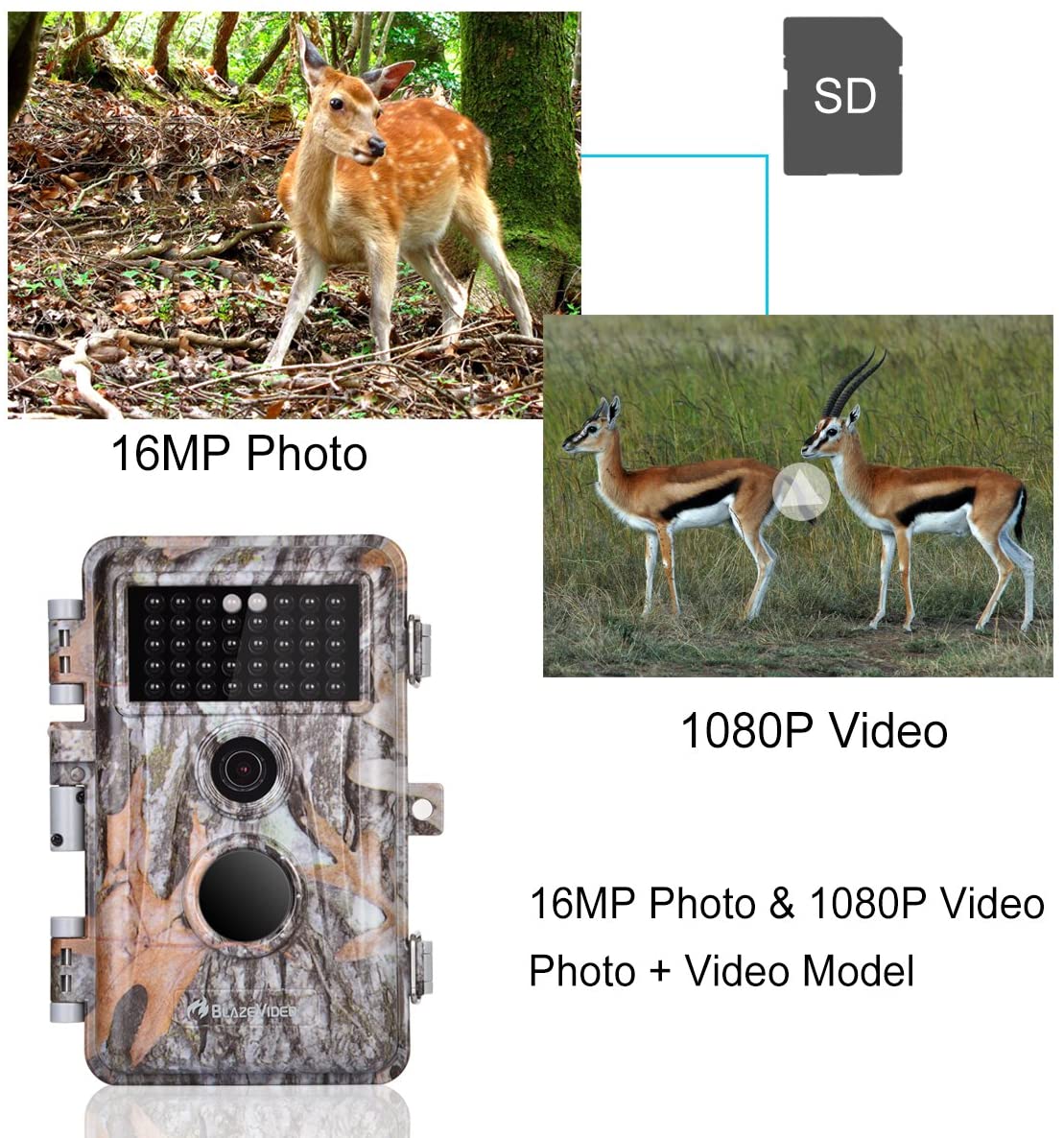 Lot de 5 caméras de chasse (cerfs et gibier) 16 MP, vidéo 1920 x 1080p, mode accéléré avec vision nocturne – Présentation