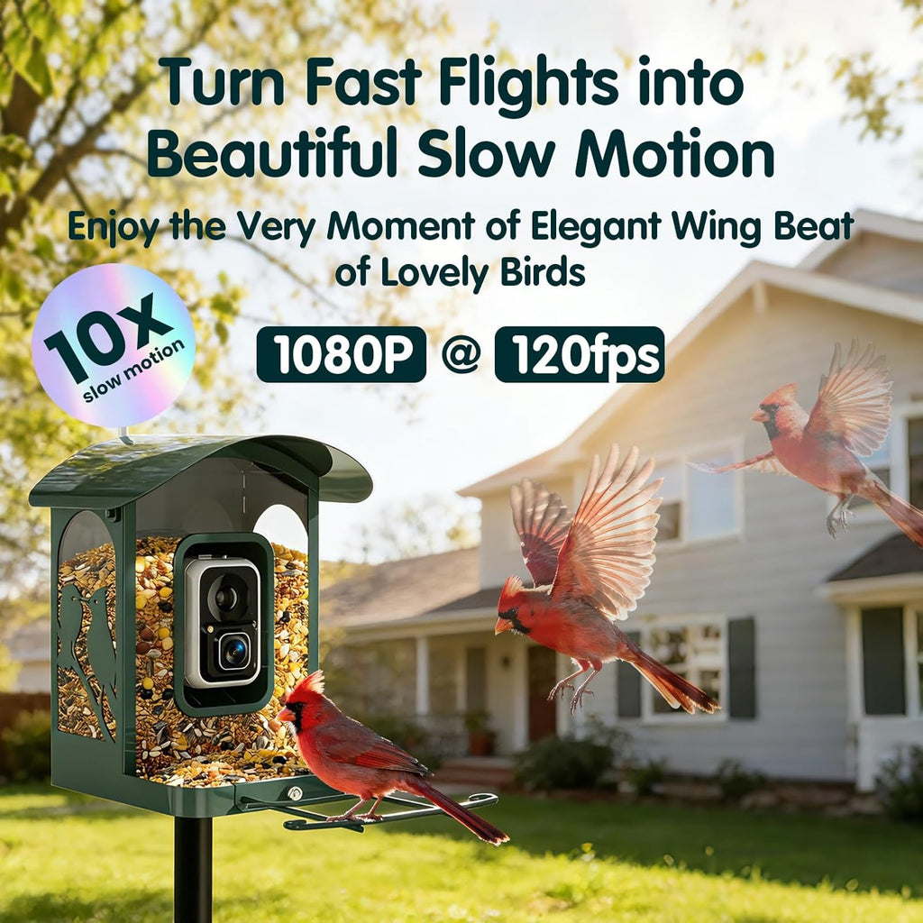 Mangeoire à oiseaux doté de caméra 4K Ultra HD, vidéo en direct à 30 images/seconde, ralenti x10, sans abonnement, alimentée à l'énergie solaire, Wi-Fi 2,4 GHz/5 GHz, en métal résistant. Cadeau idéal pour les amoureux des oiseaux.