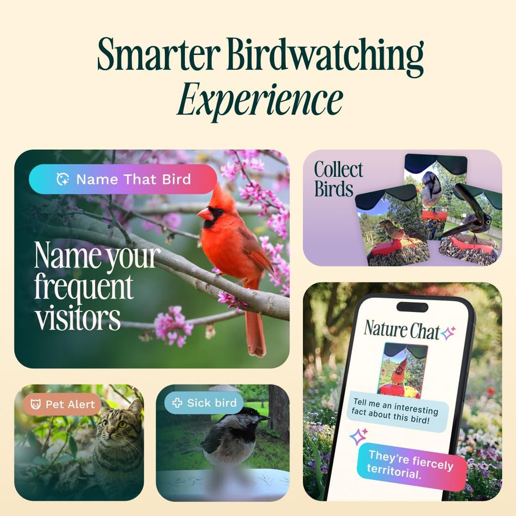 Mangeoire solaire intelligente Birdbuddy PRO avec caméra - Identification des espèces d'oiseaux par IA, photos 5 MP, vidéo HD 2K, streaming en direct, ralenti, mise au point 6,6 cm (2,6 pouces) - Bleue