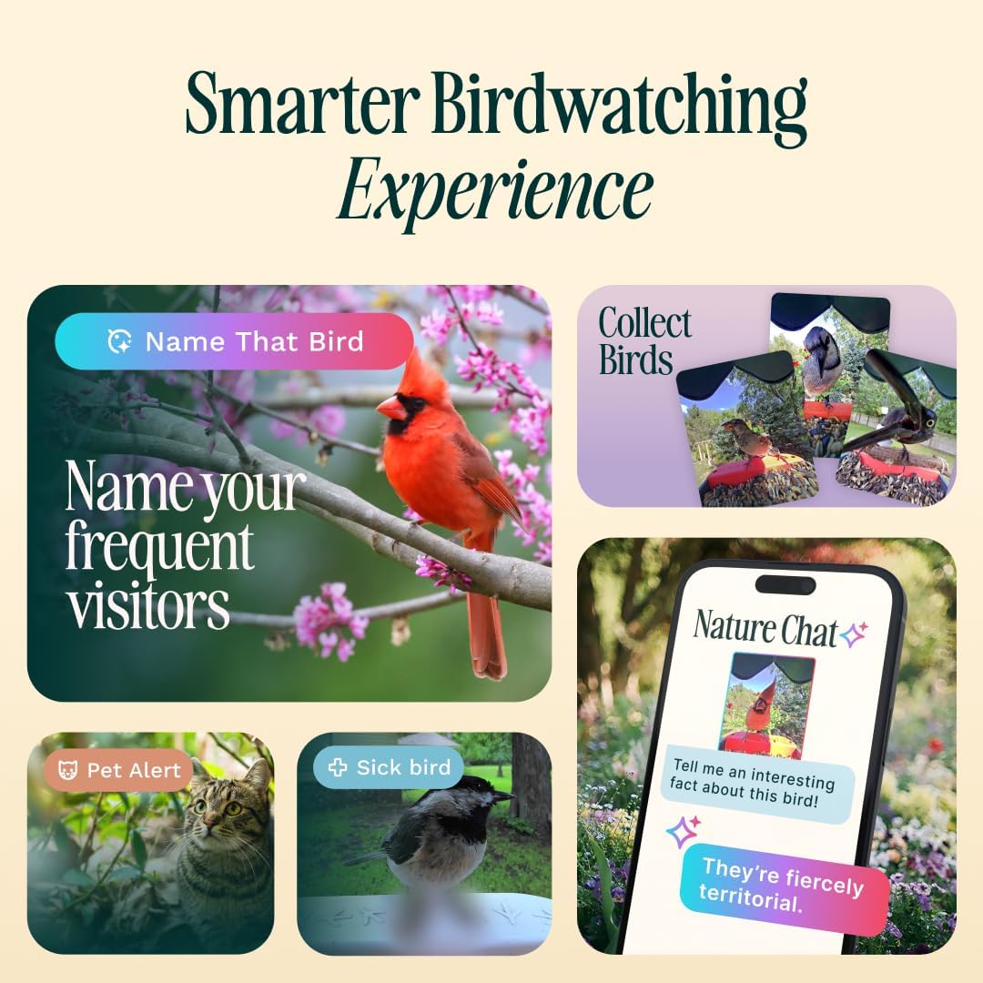 Mangeoire solaire intelligente Birdbuddy PRO avec caméra - Identification des espèces d'oiseaux par IA, photos 5 MP, vidéo HD 2K, streaming en direct, ralenti, mise au point 6,6 cm (2,6 pouces) - Bleue