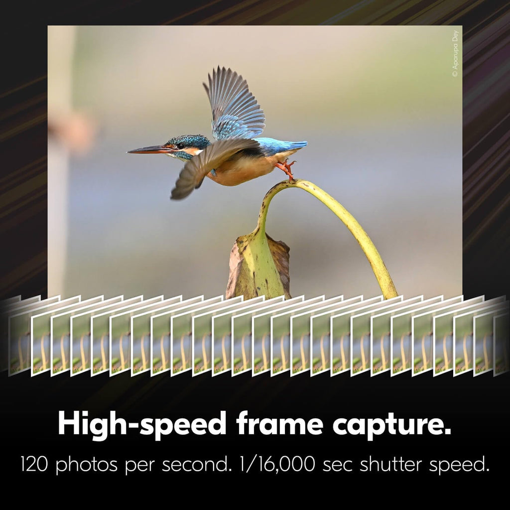 Nikon Z6 III | Appareil photo hybride plein format pour photos et vidéos doté de enregistrement interne RAW 6K/60p | Modèle Nikon USA