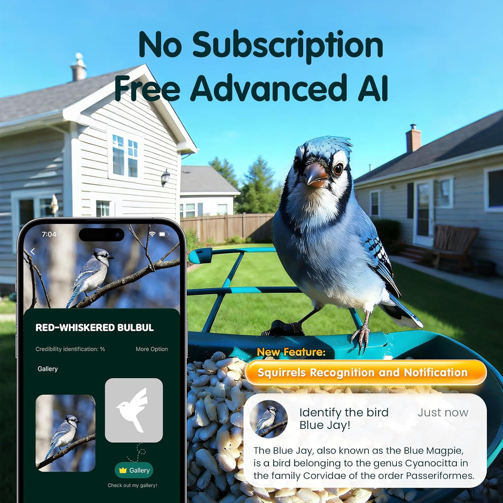 Mangeoire à oiseaux doté de caméra 4K Ultra HD, vidéo en direct à 30 images/seconde, ralenti x10, sans abonnement, alimentée à l'énergie solaire, Wi-Fi 2,4 GHz/5 GHz, en métal résistant. Cadeau idéal pour les amoureux des oiseaux.