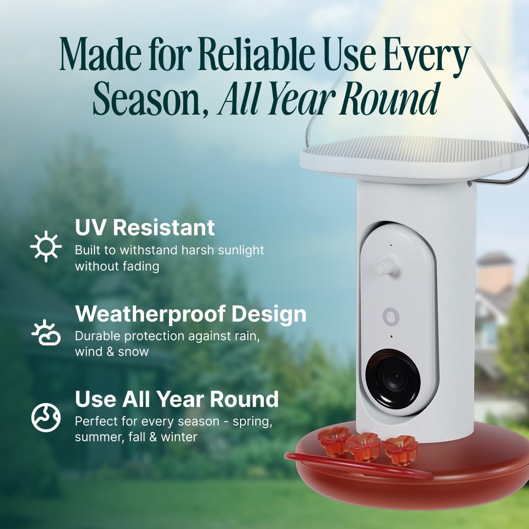 Mangeoire solaire intelligente Birdbuddy Pro pour colibris doté de caméra - Identification des oiseaux par IA, vidéo 2K, photos 5 MP, cadeau à suspendre en extérieur pour l'observation des oiseaux