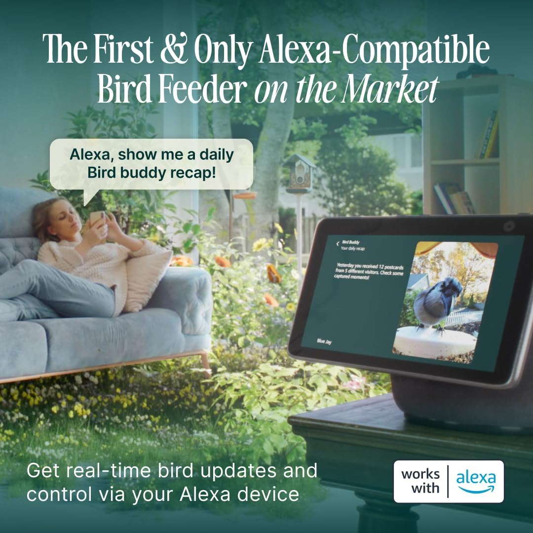 Mangeoire solaire intelligente Birdbuddy PRO avec caméra - Identification des espèces d'oiseaux par IA, photos 5 MP, vidéo HD 2K, streaming en direct, ralenti, mise au point 6,6 cm (2,6 pouces) - Bleue