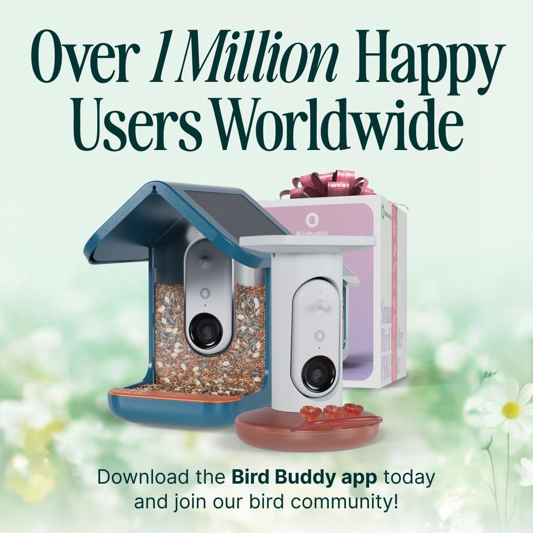 Mangeoire solaire intelligente Birdbuddy PRO avec caméra - Identification des espèces d'oiseaux par IA, photos 5 MP, vidéo HD 2K, streaming en direct, ralenti, mise au point 6,6 cm (2,6 pouces) - Bleue