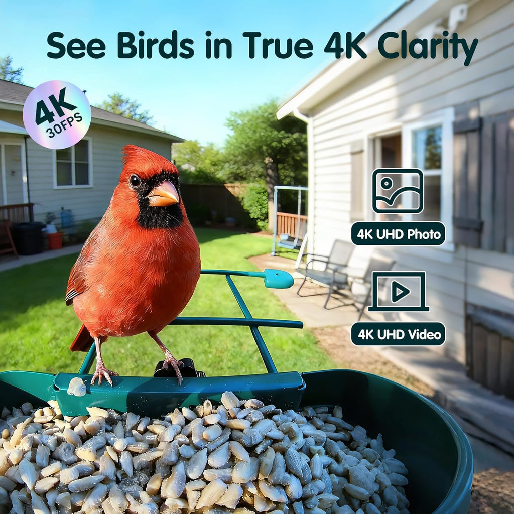 Mangeoire à oiseaux doté de caméra 4K Ultra HD, vidéo en direct à 30 images/seconde, ralenti x10, sans abonnement, alimentée à l'énergie solaire, Wi-Fi 2,4 GHz/5 GHz, en métal résistant. Cadeau idéal pour les amoureux des oiseaux.