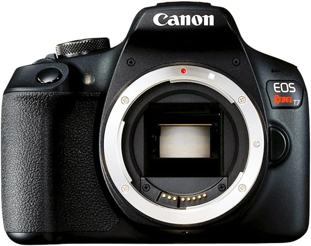 Reflex numérique Canon EOS Rebel T7 doté de kit double zoom EF 18-55 mm + EF 75-300 mm (réf. 2727C021), carte de stockage SDXC Lexar Premium 64 Go, sac photo Deco Essentials et suite logicielle Corel Photo Video.