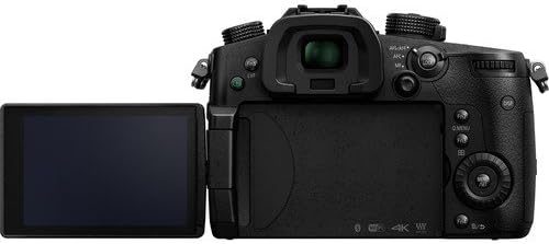 Appareil photo digital hybride Panasonic Lumix DC-GH5 Micro 4/3 : kit de 13 accessoires – incluant une carte de stockage SD de 64 Go et plus – Version internationale (sans garantie)