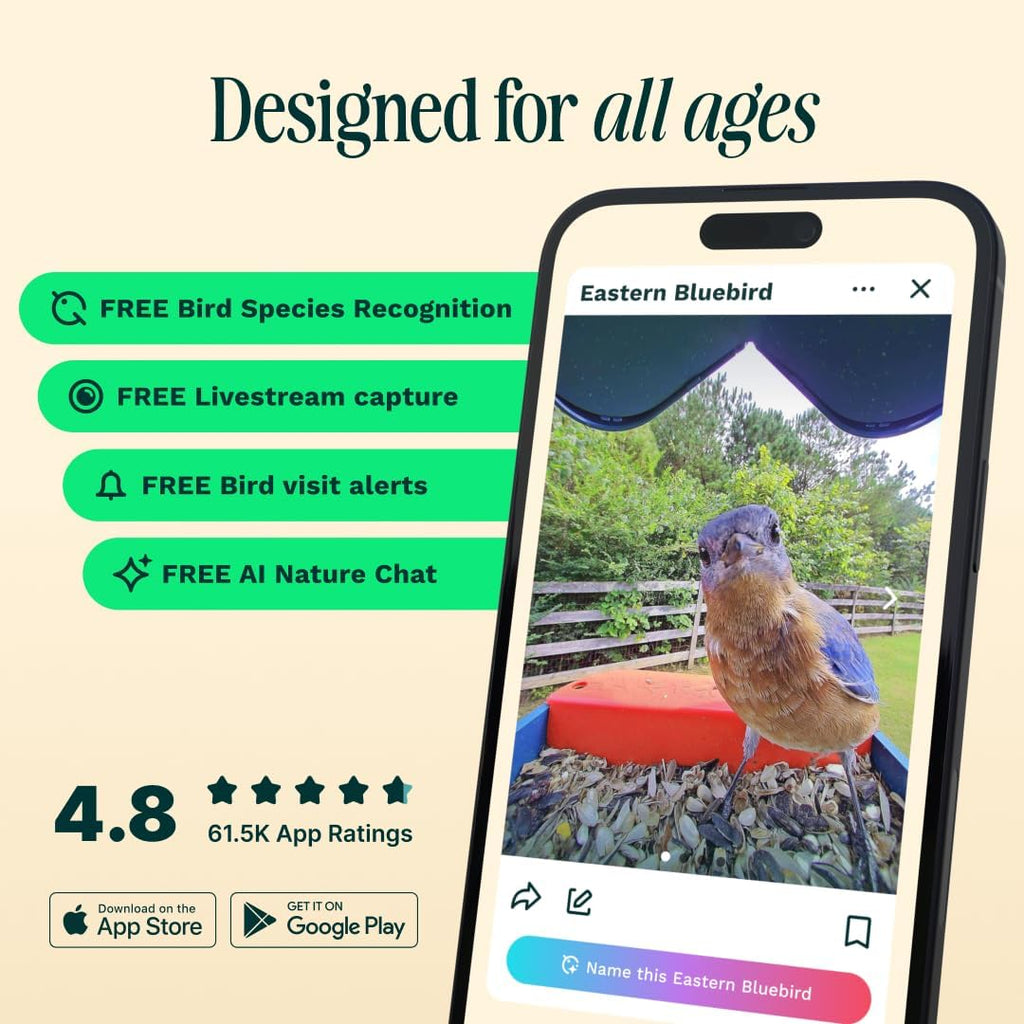 Mangeoire solaire intelligente Birdbuddy PRO avec caméra - Identification des espèces d'oiseaux par IA, photos 5 MP, vidéo HD 2K, streaming en direct, ralenti, mise au point 6,6 cm (2,6 pouces) - Bleue
