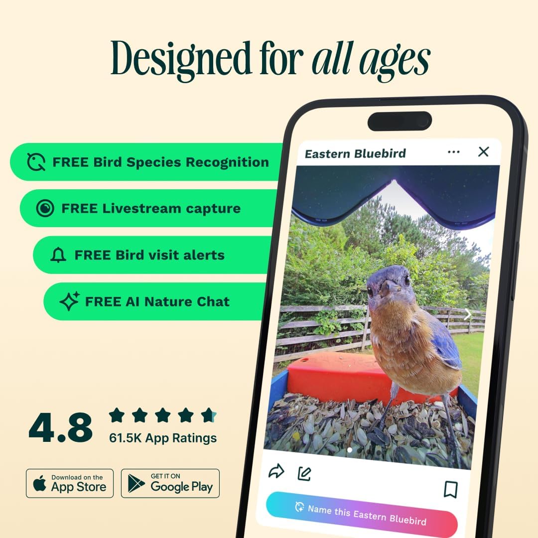 Mangeoire solaire intelligente Birdbuddy PRO avec caméra - Identification des espèces d'oiseaux par IA, photos 5 MP, vidéo HD 2K, streaming en direct, ralenti, mise au point 6,6 cm (2,6 pouces) - Bleue
