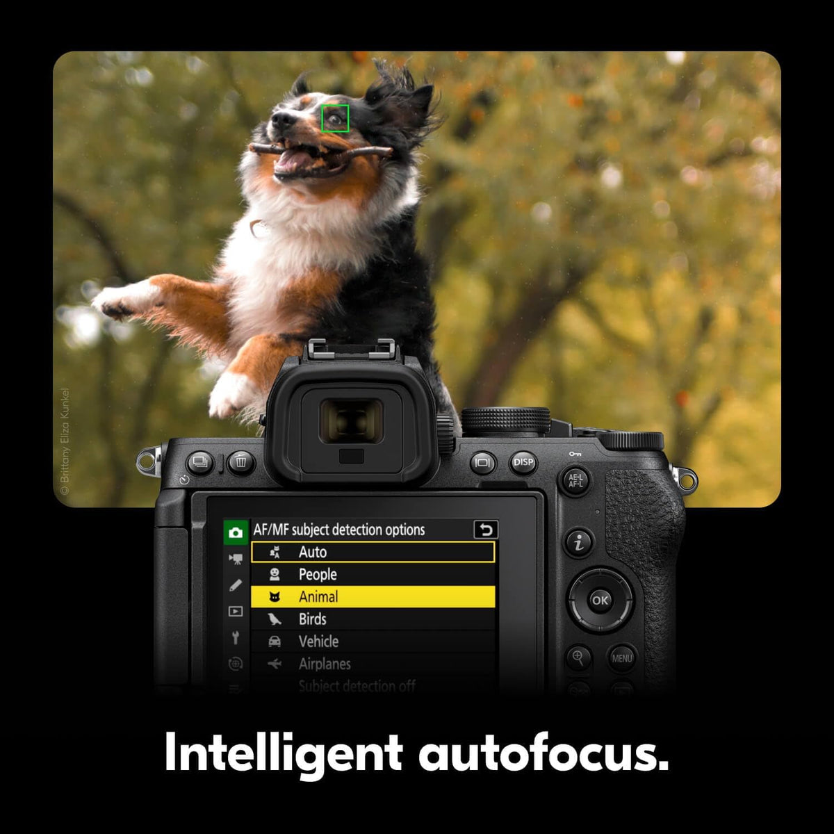 Nikon Z50 II doté de deux objectifs | Appareil photo hybride compact pour photos et vidéos, doté de préréglages de couleur simplifiés et partage de photos sans fil | Modèle USA